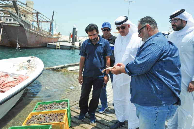 Fish market to bet set up in Askar