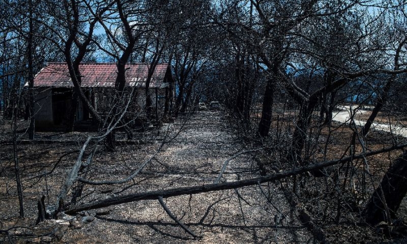 Greek wildfires death toll rises to 91