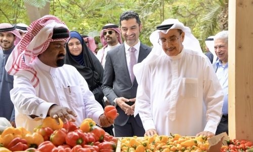  Investors in Bahrain to get more agricultural lands: Deputy PM 