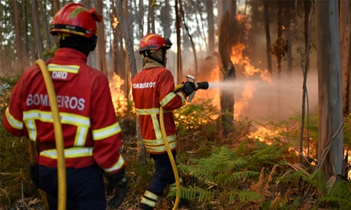 Huge Portugal forest fires kill 57, injure scores