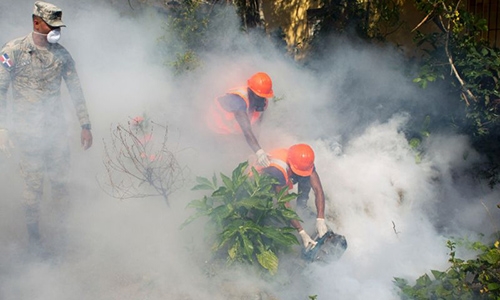 Cuba mobilizes security forces to prevent Zika outbreak