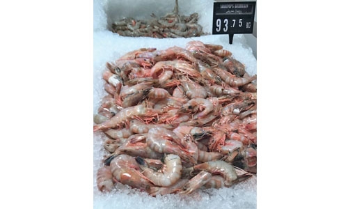 Despite ban, Bahrain shrimp being sold in GCC markets