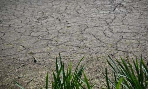 Britain begins drought planning after record heatwave