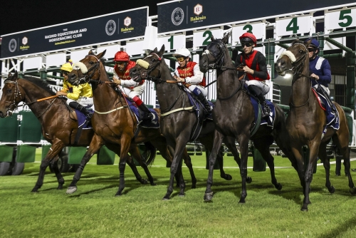 Horse racing season heats up with NBB Cup 