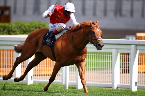 Bahrain endurance horseracing season-opener set