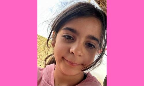 Eight-year-old found dead in Türkiye after national search effort