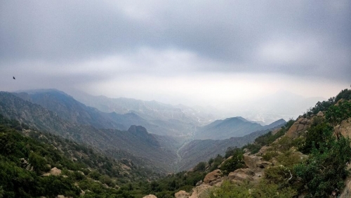Sweltering Saudis escape to mountainous 'City of Fog'
