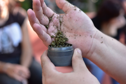 Hundreds charged after vast UK cannabis operation