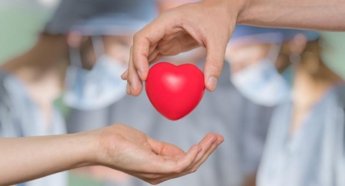Online survey targets organ donation registration rate in Bahrain