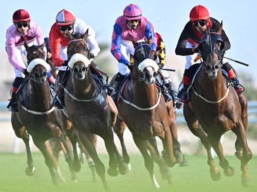 Equestrian enthusiasts await HRH the Crown Prince’s Cup