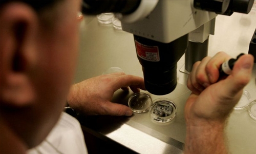 Dutch medical centre probes suspected IVF sperm mix-up