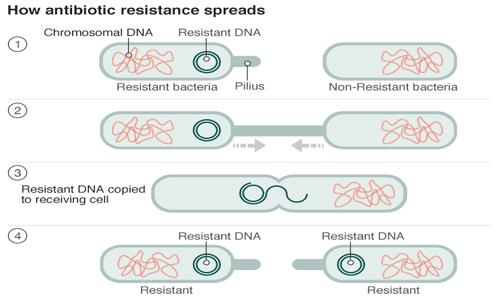 Antibiotic resistance: World on cusp of 'post-antibiotic era'