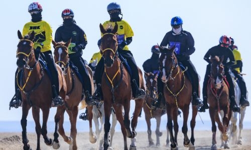215 riders participate on opening day of Khalid bin Hamad Endurance Championship
