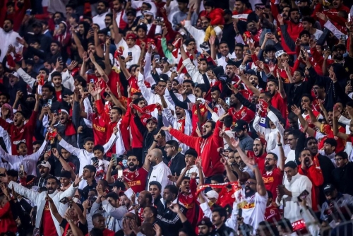 The Bahraini Stand: Uniting Fans for a Shared Purpose