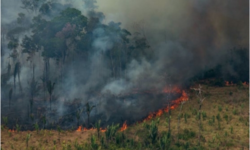 Brazil’s army fights Amazon fires after hundreds more flare up