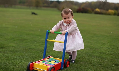 New Princess Charlotte photos mark her first birthday