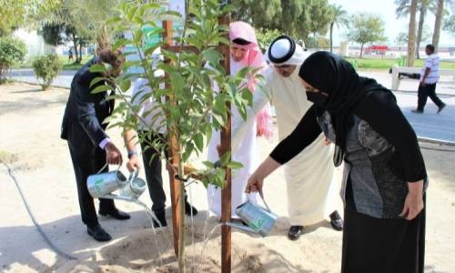Al Fateh Corniche receives landscape makeover through Forever Green campaign