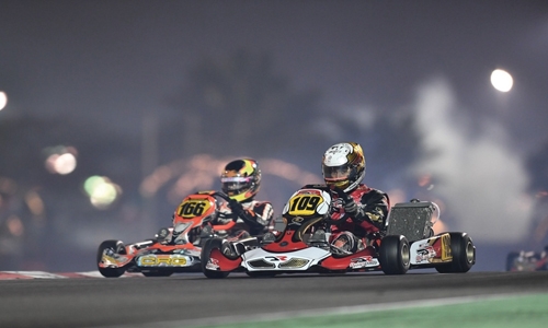 Karting circuit : Karol and David dominate 