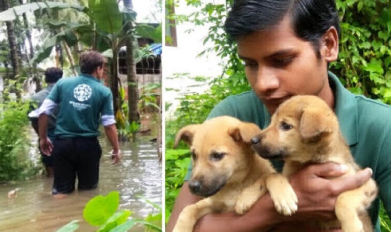 Kerala woman refuses to leave flooded house without her 25 dogs