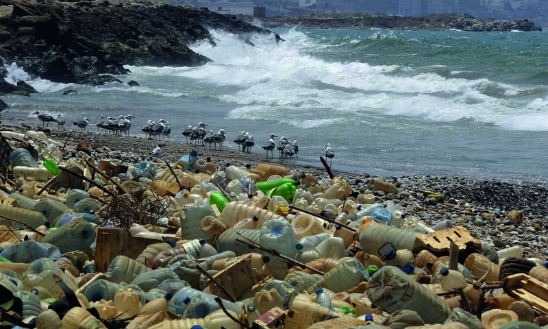 Coca-Cola, Walmart to cut plastic pollution in oceans