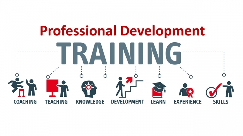 Professional Development Trends