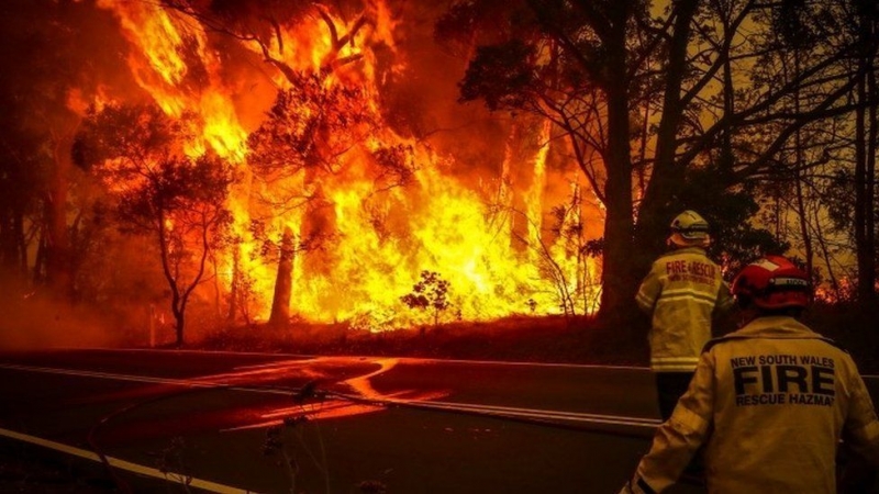 Australia fires: Strong winds hamper efforts to control flames