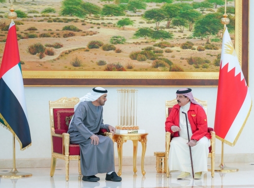 Bahrain, UAE united against terror
