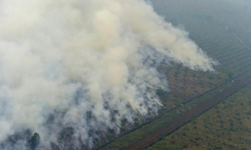 Indonesia punishes firms over deadly forest fires