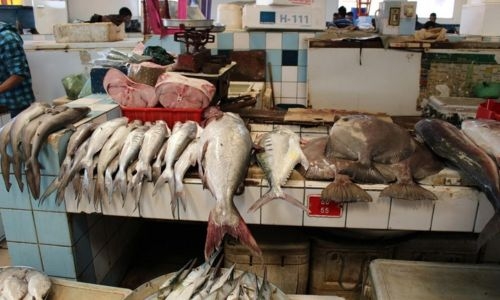 Lodging skyrockets, but seafood becomes a bargain, says CPI