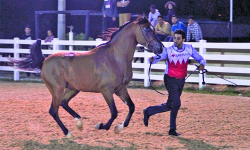 Bahrain Arabian Horse show concludes