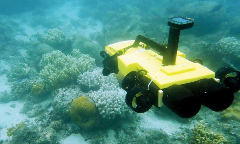 Starfish-killing robot to protect Barrier Reef