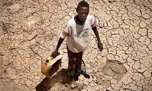 East, Horn of Africa prep for worst drought in decades