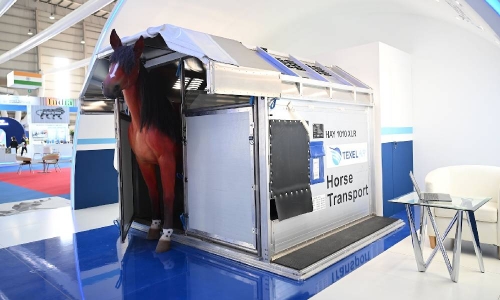 Bahraini cargo airline invests in top-of-the-line aircraft horse stalls 