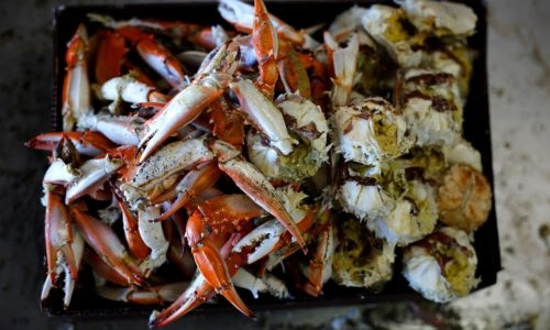 ‘Qobqob’ crab fishing ban set to be lifted tomorrow