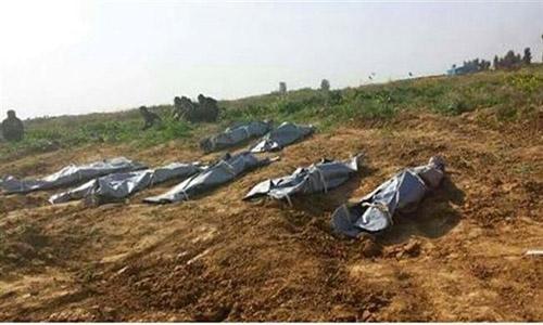 Iraqi forces claim found 365 IS bodies in Baiji graves